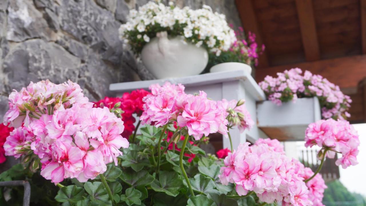Oltre il Colle B&B Casa Dolce Casa מראה חיצוני תמונה